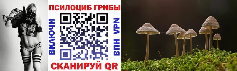 Псилоцибиновые грибы Psilocybine cubensis Старая Русса